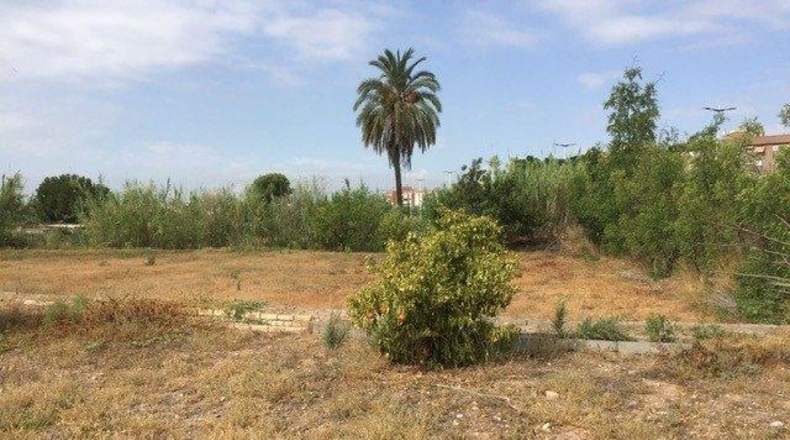 Múrcia - Murcia - 2000m2