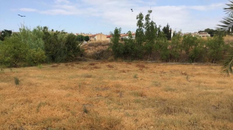 Múrcia - Murcia - 2000m2