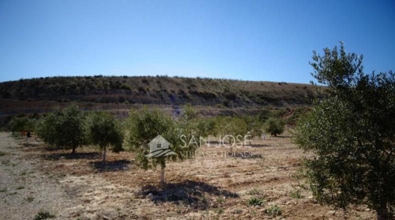 Alicante - Aspe - 47078m2