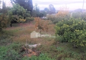 Chalet independiente con terreno en venta en la España, Albox, ref: TR383535 foto