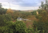 Chalet independiente con terreno en venta en la España, Albox, ref: TR383535 foto