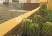Chalet independiente con terreno en venta en la España, Albox, ref: TR383535 foto