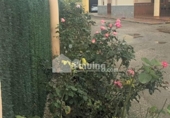 Chalet independiente con terreno en venta en la España, Albox, ref: TR383535 foto