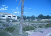 Suelo urbano en venta en la España, Albox, ref: TR126240 foto