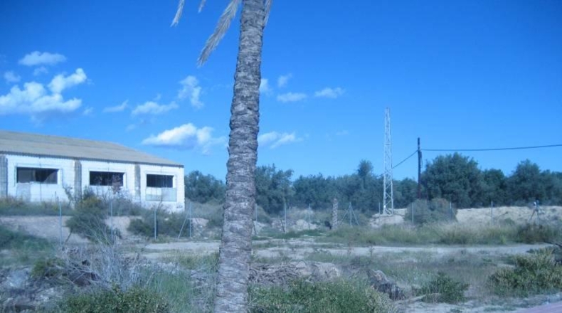 Almería - Albox - 5900m2
