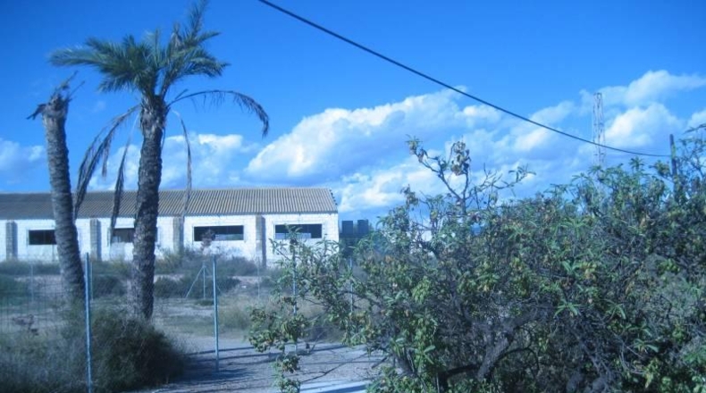 Almería - Albox - 5900m2