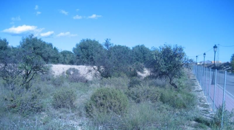 Almería - Albox - 5900m2