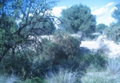 Suelo urbano en venta en la España, Albox, ref: TR126240 foto