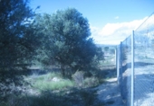 Suelo urbano en venta en la España, Albox, ref: TR126240 foto