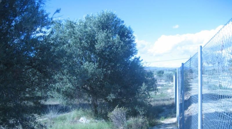 Almería - Albox - 5900m2