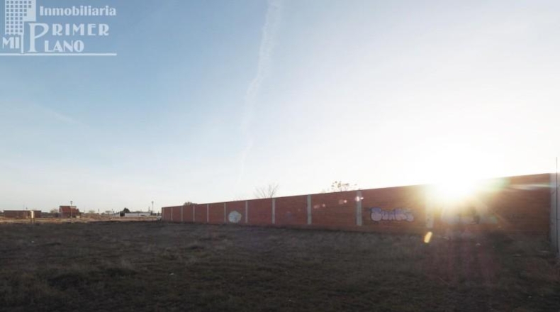 Ciudad Real - Tomelloso - 1033m2