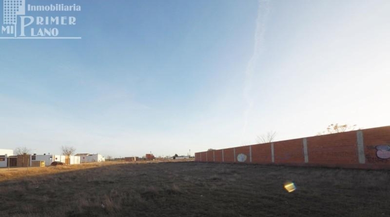 Ciudad Real - Tomelloso - 1033m2
