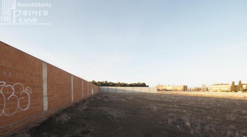 Ciudad Real - Tomelloso - 1033m2