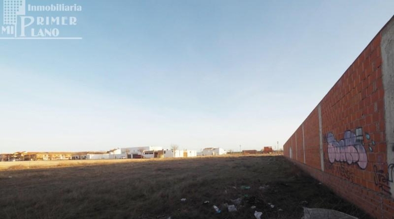 Ciudad Real - Tomelloso - 1033m2
