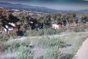 Cañaveral 49000&nbsp;m²
