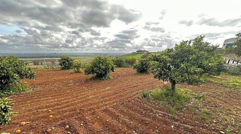 Seville - Mairena del Alcor - 10000m2