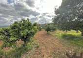 Terreny no urbanitzable en venda a la España, Mairena del Alcor, ref.: TR124009 foto