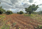 Terreny no urbanitzable en venda a la España, Mairena del Alcor, ref.: TR124009 foto