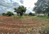 Terreny no urbanitzable en venda a la España, Mairena del Alcor, ref.: TR124009 foto