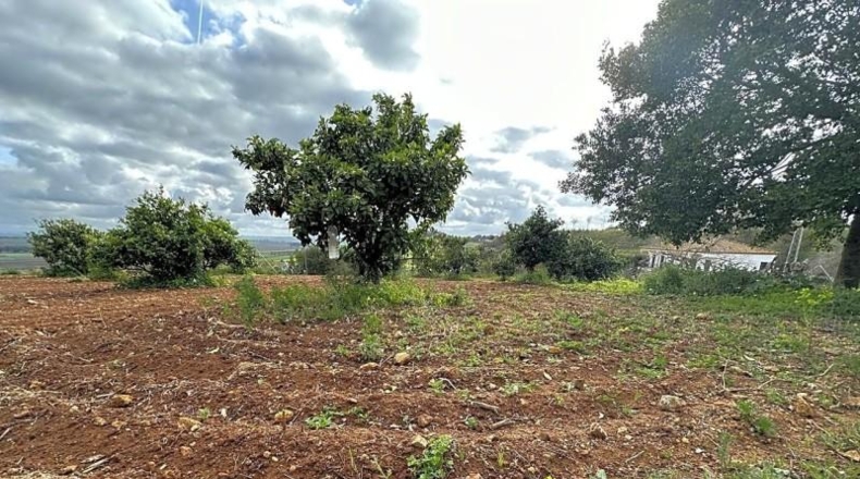 Seville - Mairena del Alcor - 10000m2