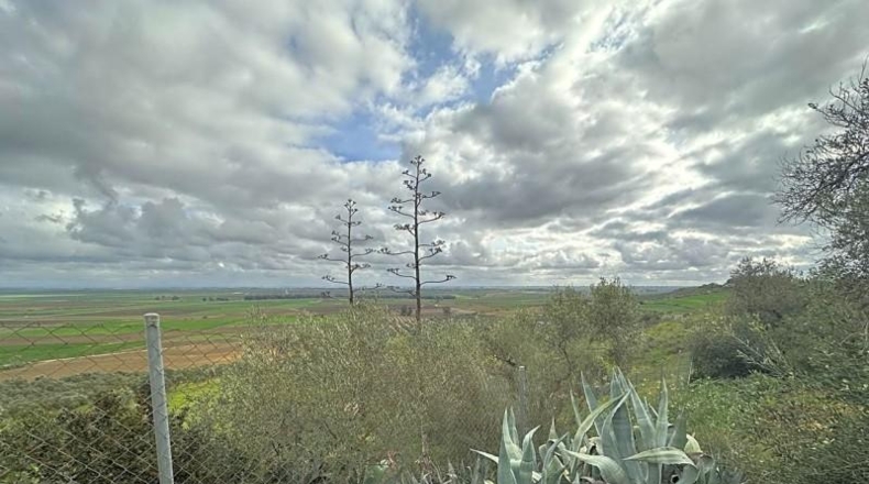 Seville - Mairena del Alcor - 10000m2