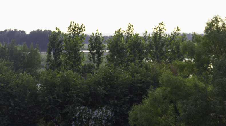 La Rioja - Alfaro - 3300m2