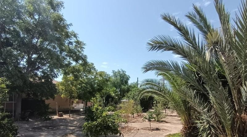 Аликанте - Crevillente - 138m2