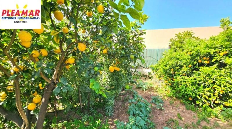 Cádiz - Чипиона - 800m2