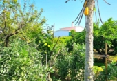 Casa de camp amb terreny en venda a la España, Chipiona, ref.: TR286725 foto