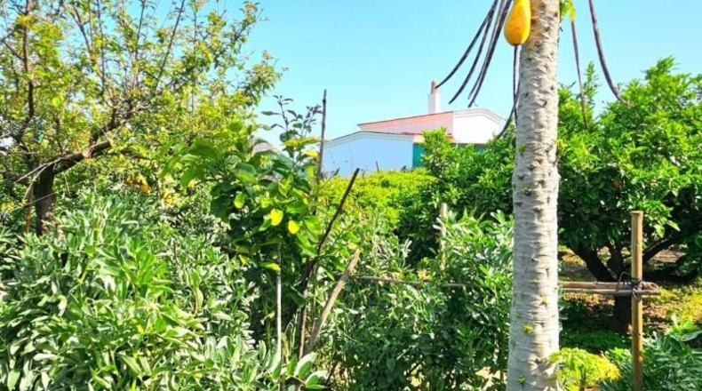 Cádiz - Чипиона - 800m2