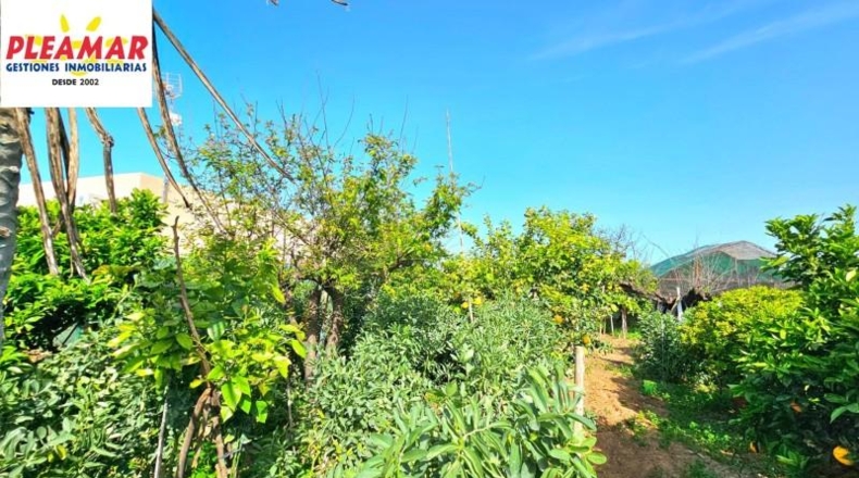 Cádiz - Чипиона - 800m2