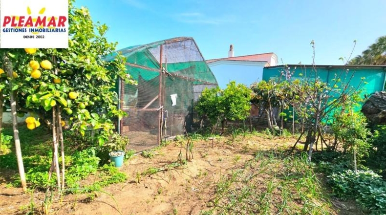 Cádiz - Чипиона - 800m2