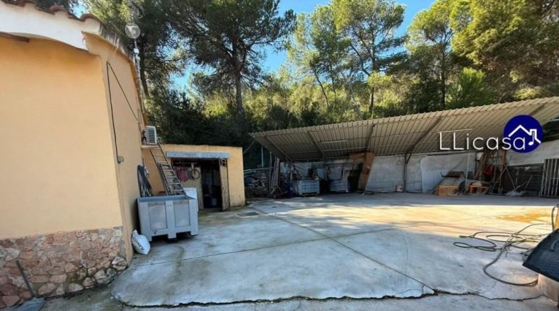 Valencia - Вильямарчант - 1797m2