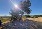 Finca rústica en venta en la España, Orihuela, ref: TR371394 foto