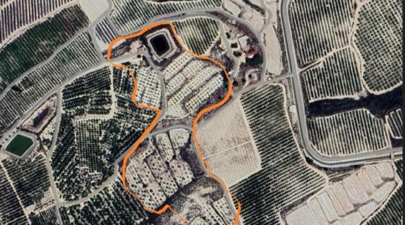 Alicante - Oriola - 60000m2