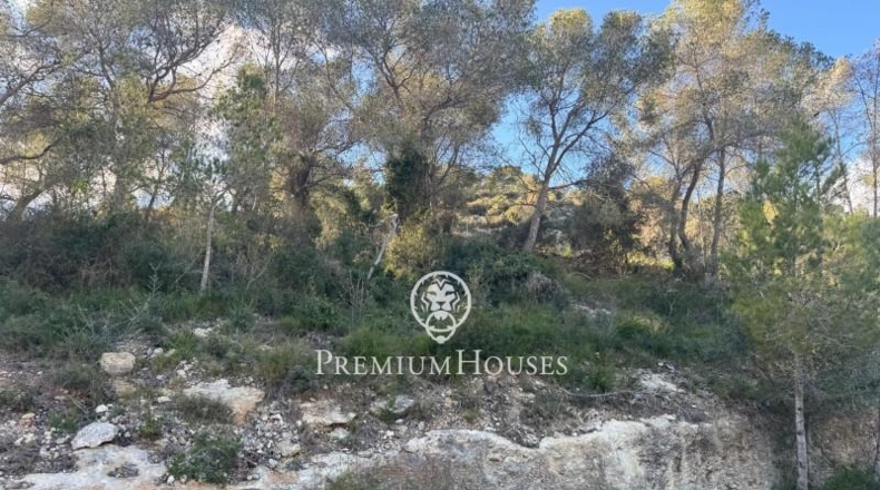 Barcelona - Sant Pere de Ribes - 916m2