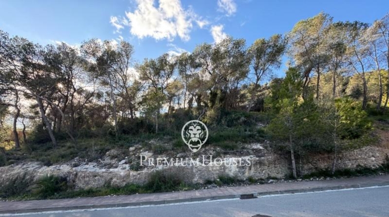 Barcelona - Sant Pere de Ribes - 916m2