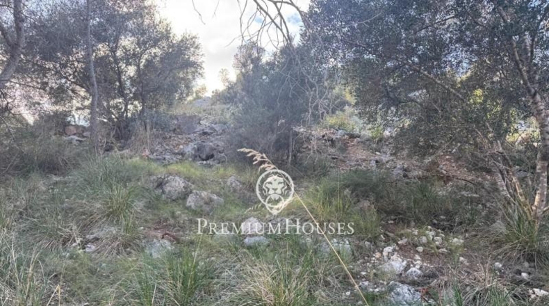Barcelona - Sant Pere de Ribes - 916m2