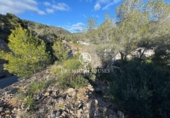 Parcel·la urbanitzable en venda a la España, Sant Pere de Ribes, ref.: TR223513 foto