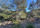 Parcel·la urbanitzable en venda a la España, Sant Pere de Ribes, ref.: TR223513 foto