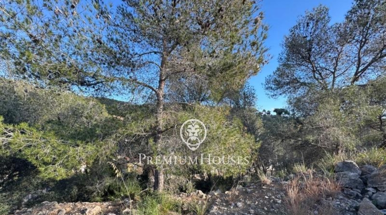 Barcelona - Sant Pere de Ribes - 916m2