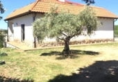 Xalet independent amb terreny en venda a la España, Malpartida de Plasencia, ref.: TR164690 foto