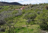 Xalet independent amb terreny en venda a la España, Malpartida de Plasencia, ref.: TR164690 foto