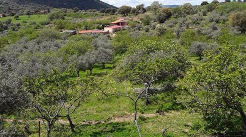 Cáceres - Plasencia - 3000m2