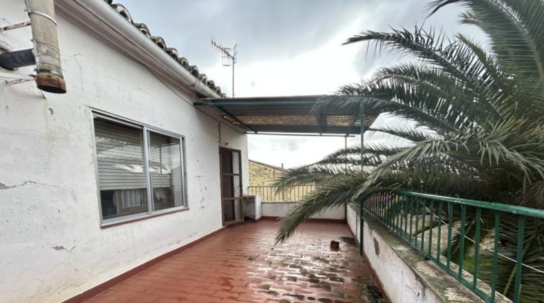 Navarra - Ribaforada - 800m2