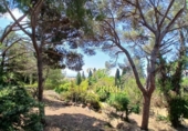 Sòl urbà en venda a la España, Cabrils, ref.: TR244736 foto