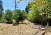 Sòl urbà en venda a la España, Cabrils, ref.: TR244736 foto