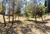 Sòl urbà en venda a la España, Cabrils, ref.: TR244736 foto