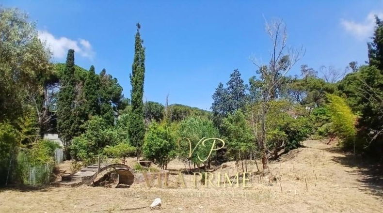 Barcelona - Cabrils - 1001m2