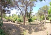 Sòl urbà en venda a la España, Cabrils, ref.: TR244736 foto